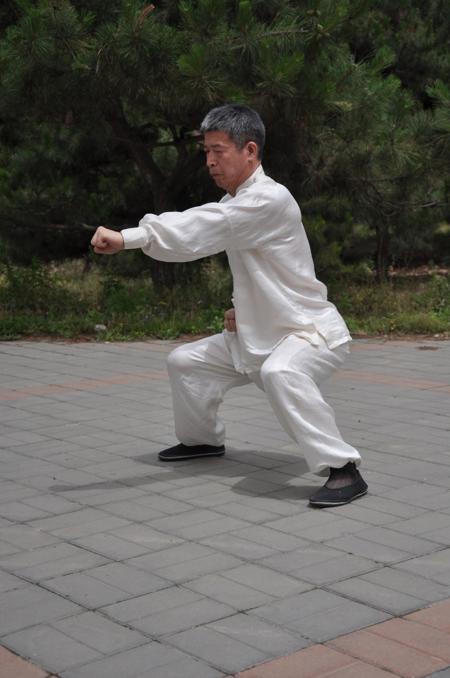 马步冲拳