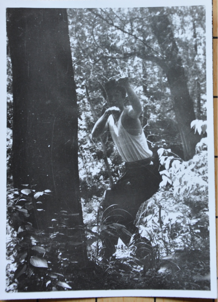 杨教授年轻时练武照片 4